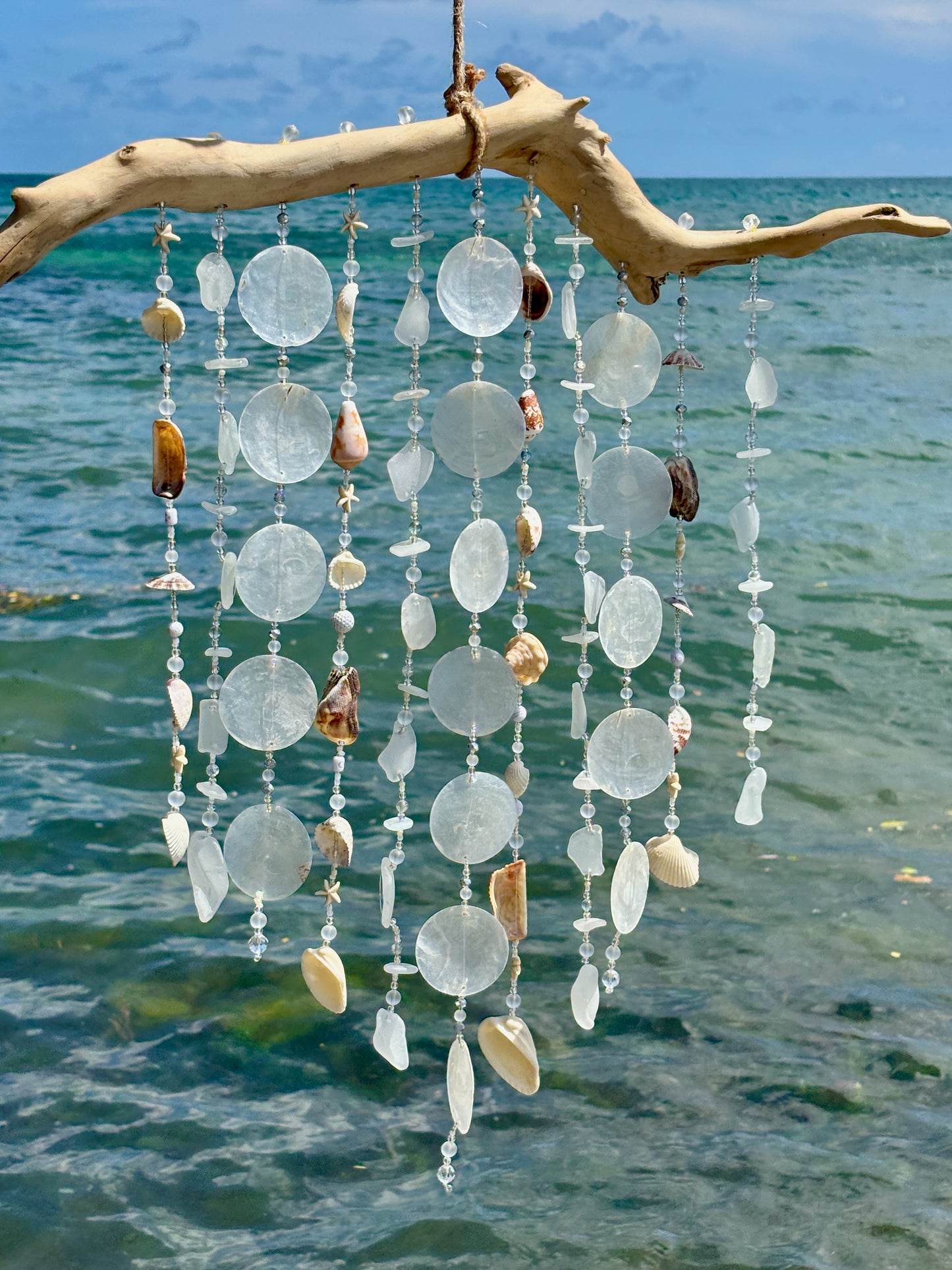 Decorative wind chime with seashells hanging from a branch over water