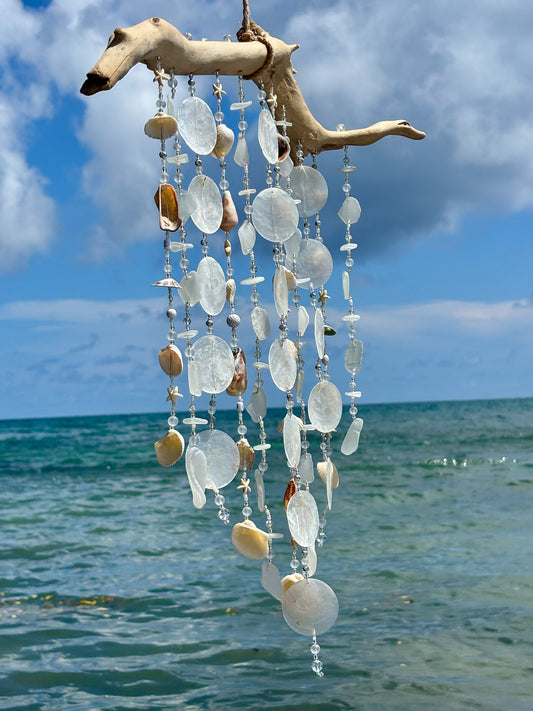 Decorative shell and driftwood wind chime against a blue sky and ocean background