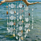 Decorative wind chime with seashells hanging from a branch over water